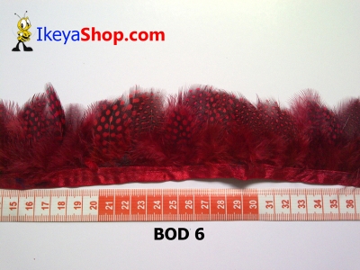 bulu owl polkadot BOD 6   feather  large2